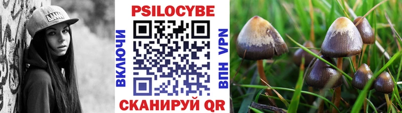гидра ссылки  Починок  Псилоцибиновые грибы ЛСД 