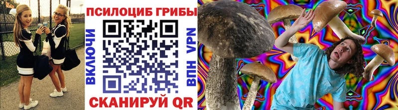 Псилоцибиновые грибы Cubensis Починок